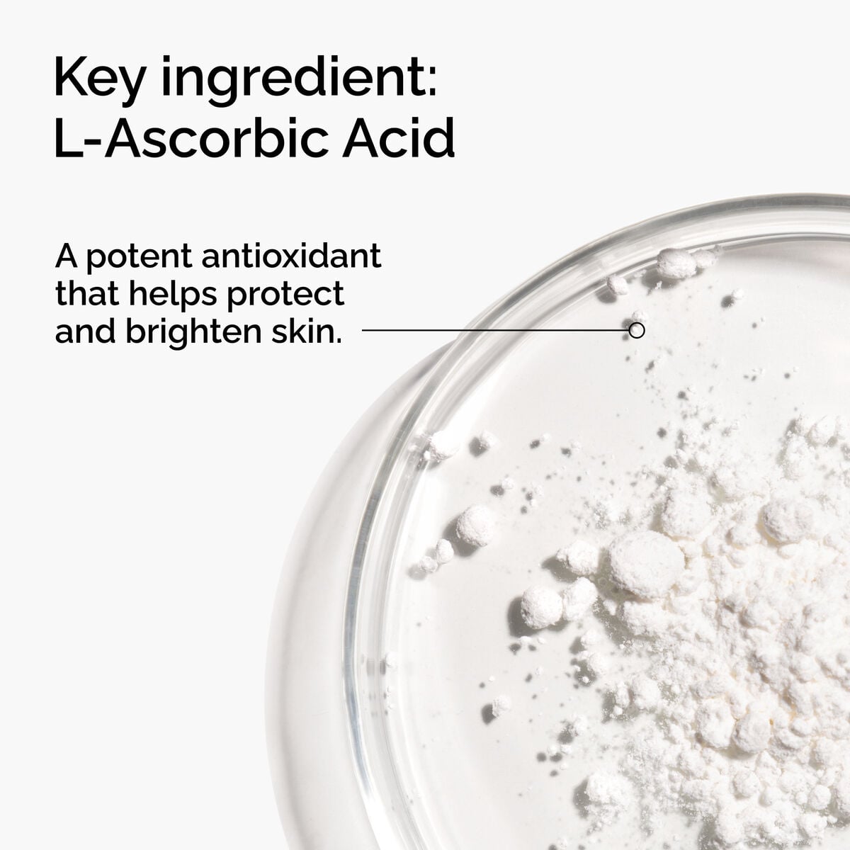 100-l-ascorbic-acid-powder-l7 FY25-D41247-ORD-Web-PDP-100-LAscb-Pwd-1x1-EN-2a.jpg
