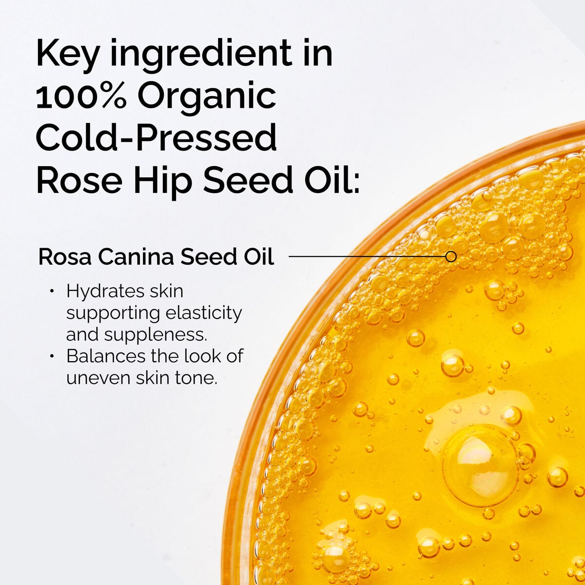 100-organic-cold-pressed-rose-hip-seed-oil-t3 FY25-D41247-ORD-Web-PDP-100-Rose-Hip-Oil-1x1-EN-2.jpg
