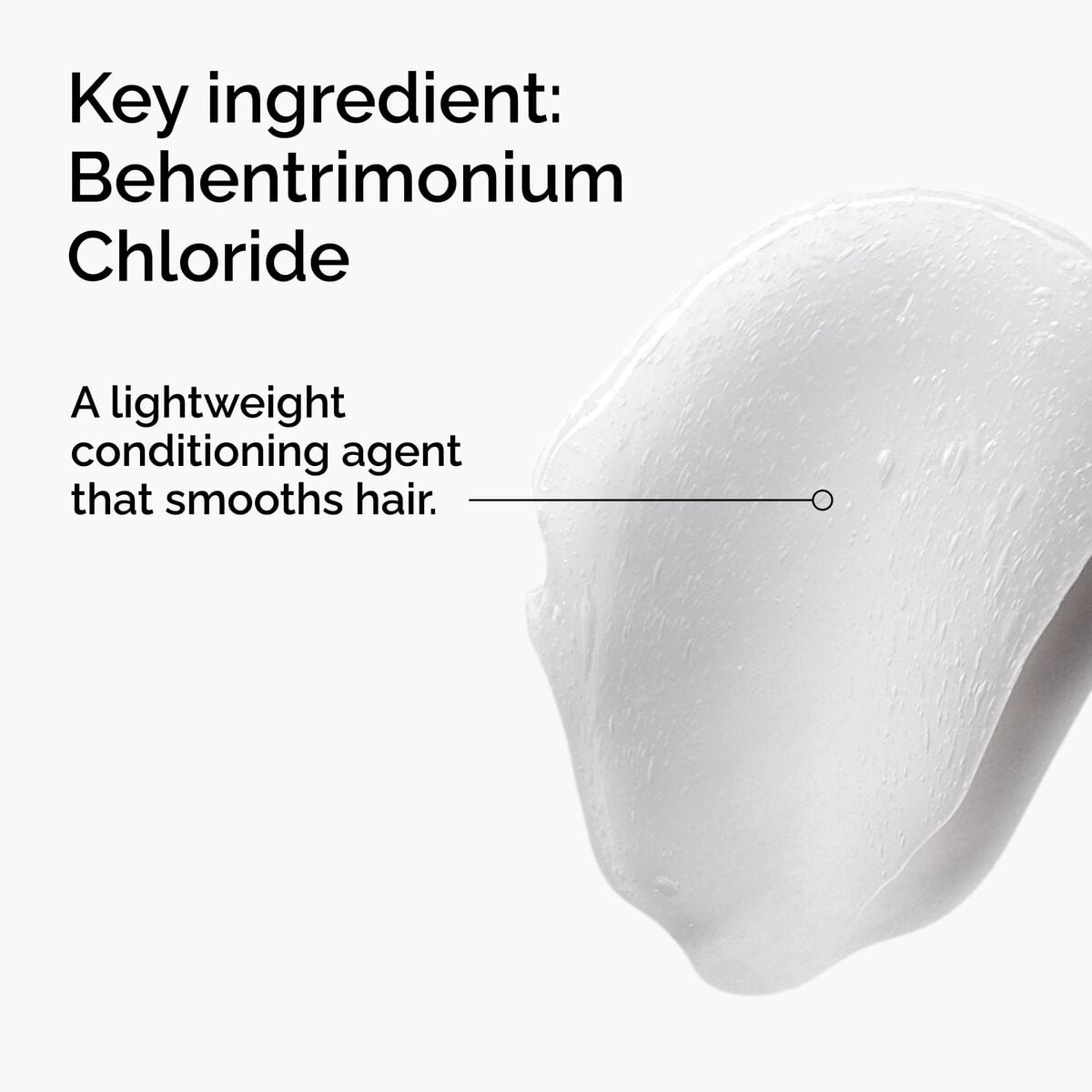 behentrimonium-chloride-2-conditioner-p4 FY25-D41247-ORD-Web-PDP-BTC-1x1-EN-2a.jpg