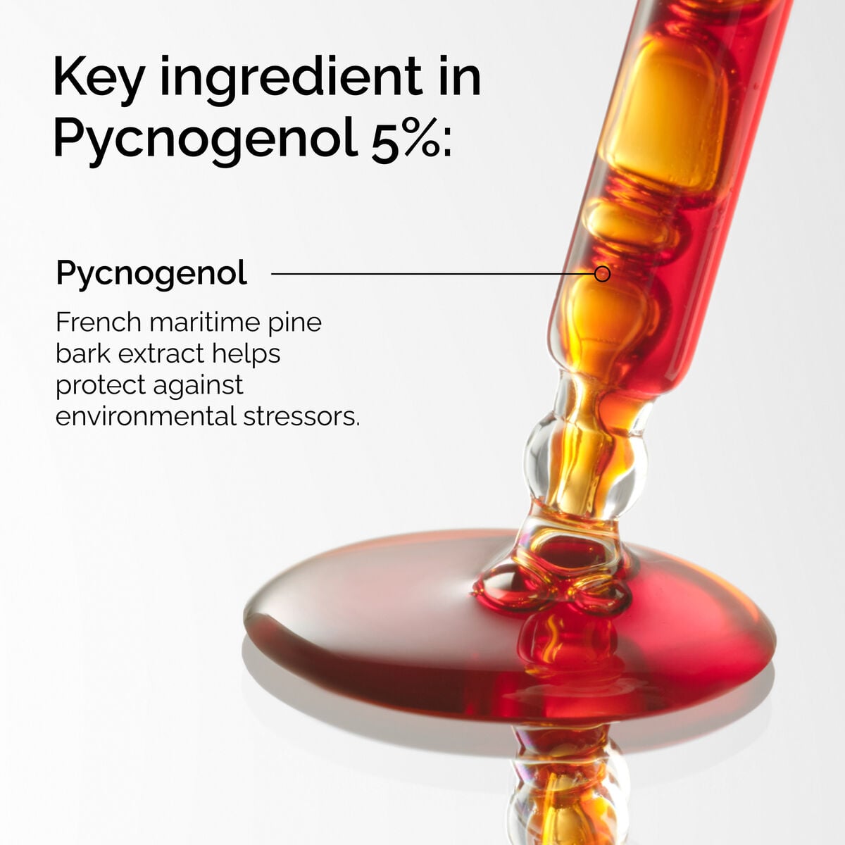 pycnogenol-5-r8 FY25-D41247-ORD-Web-PDP-Pyc-5pct-1x1-EN-2a.jpg