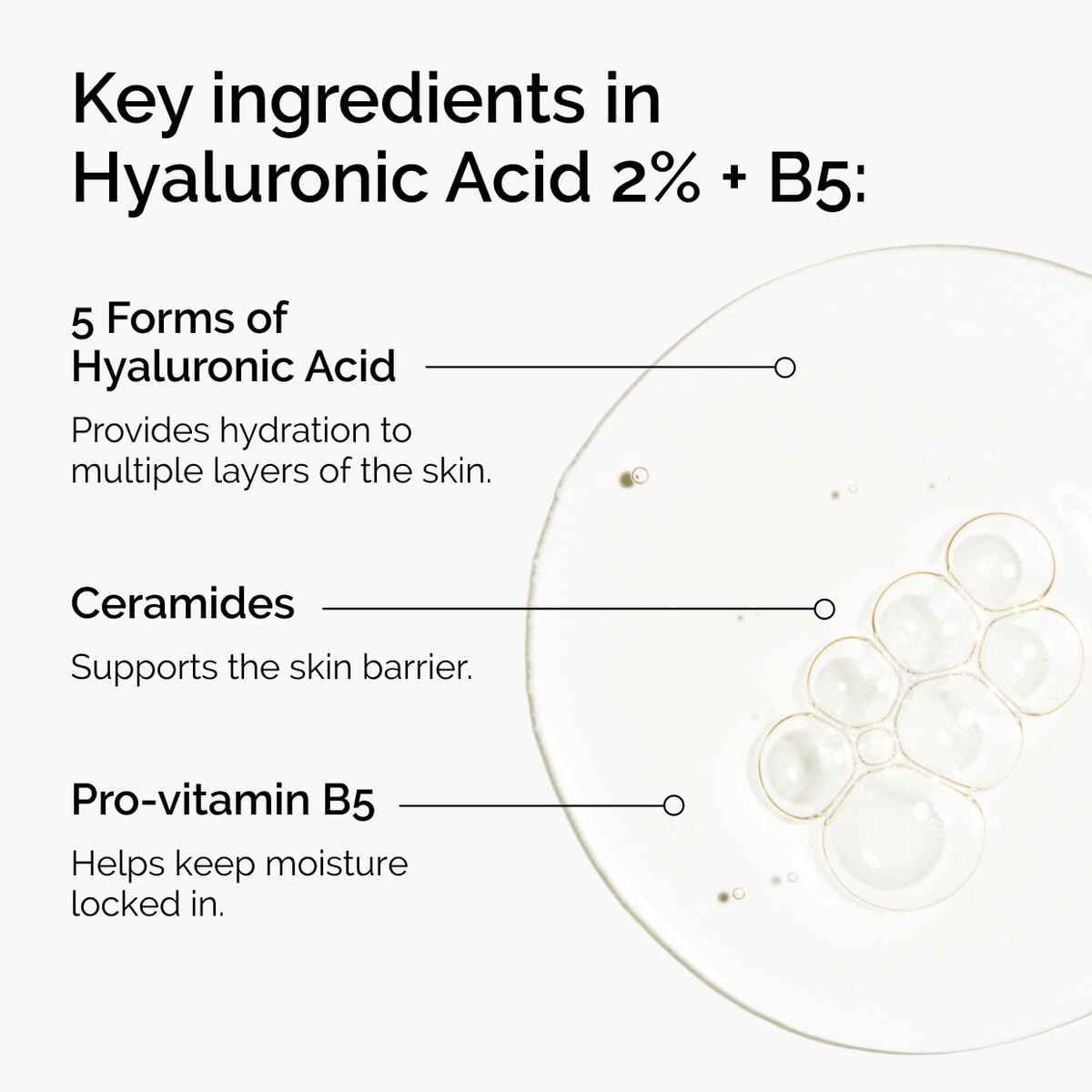 hyaluronic-acid-2-b5-with-ceramides-z5 ord-hyaluronic-acid-2pct-b5-hydrating-serum-ingredients-graphic.jpg