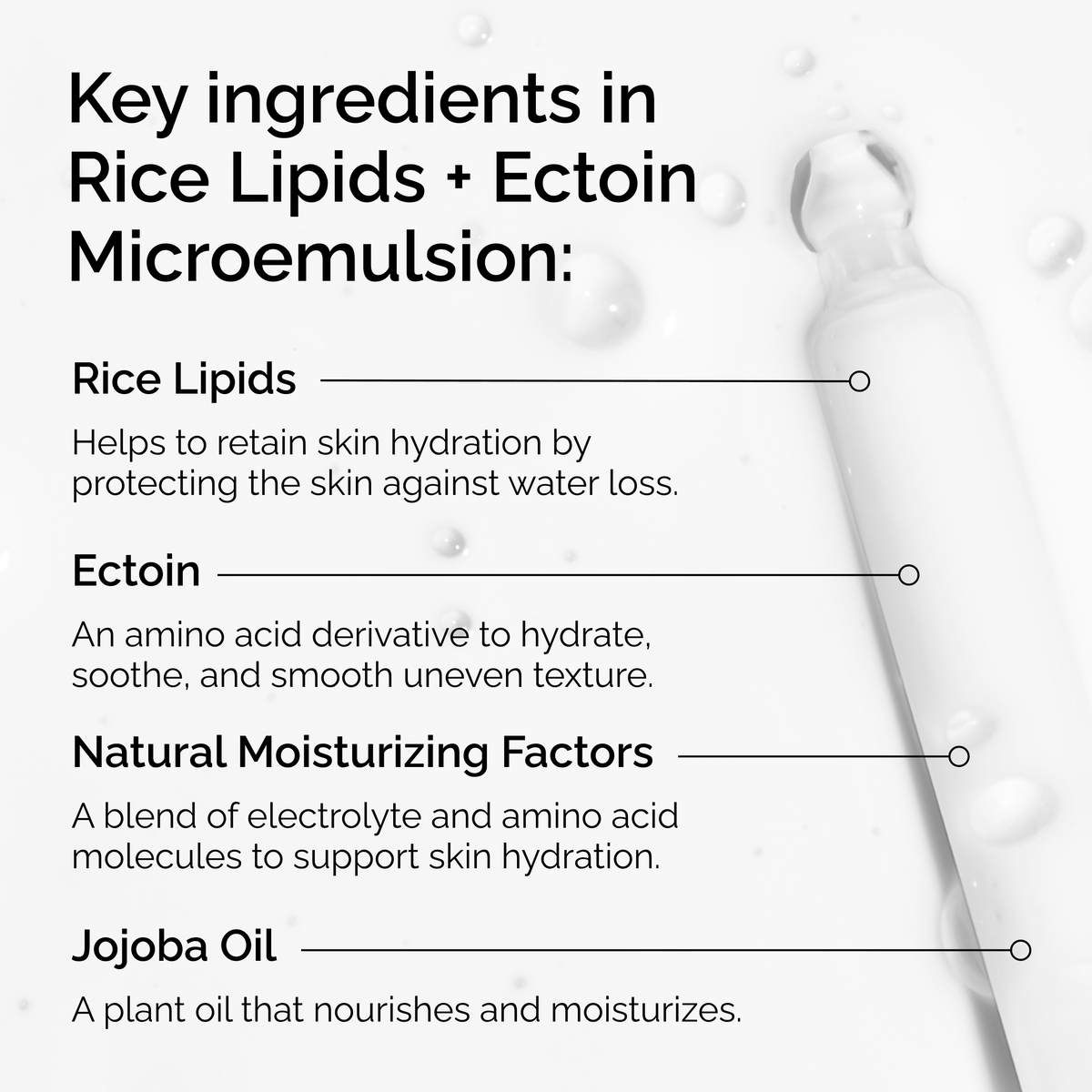rice-lipids-ectoin-microemulsion-t8 ord-rice-lipids-ectoin-microemulsion-key-ingredients.png