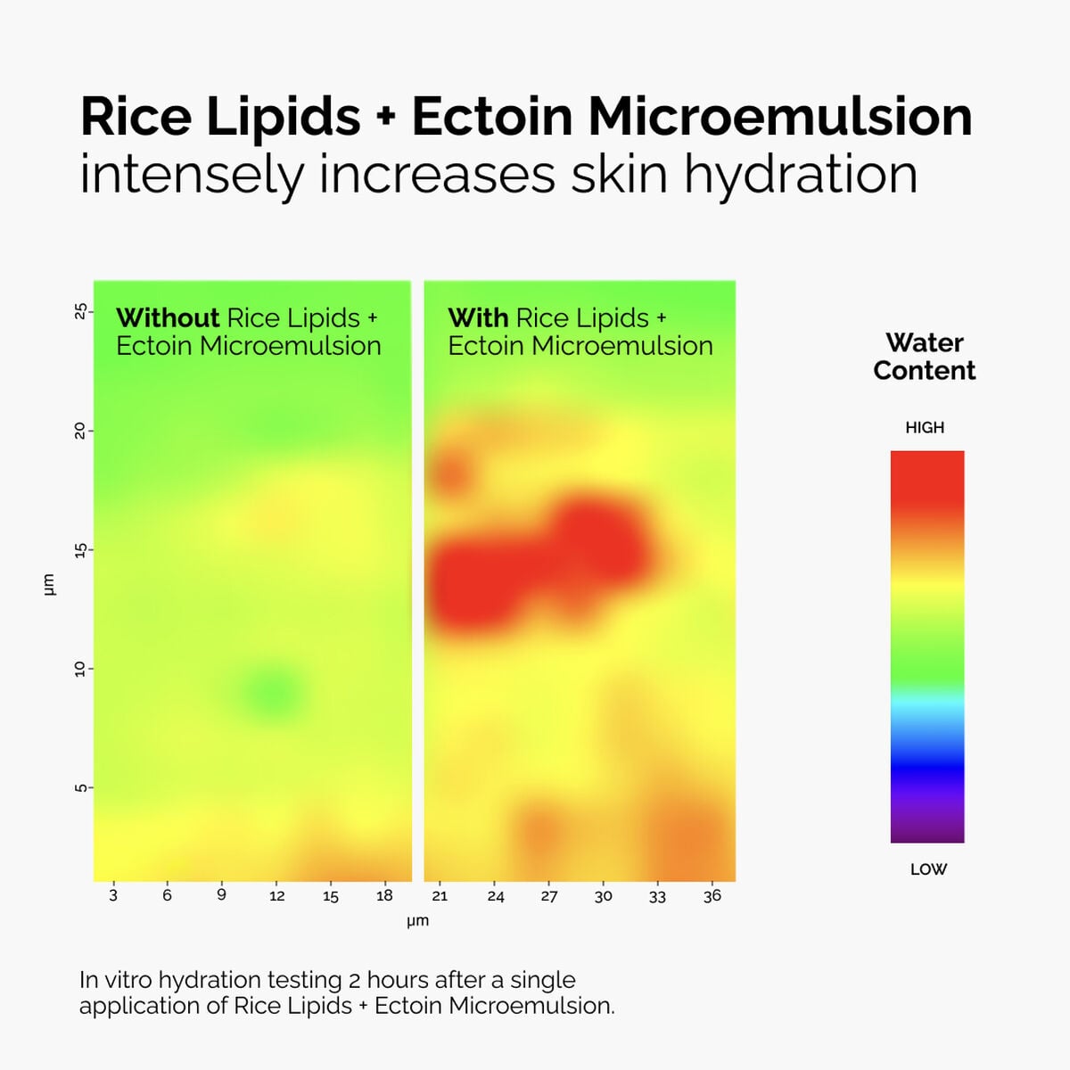rice-lipids-ectoin-microemulsion-t8 ord-rice-lipids-ectoin-microemulsion-thermal-before-after.jpg