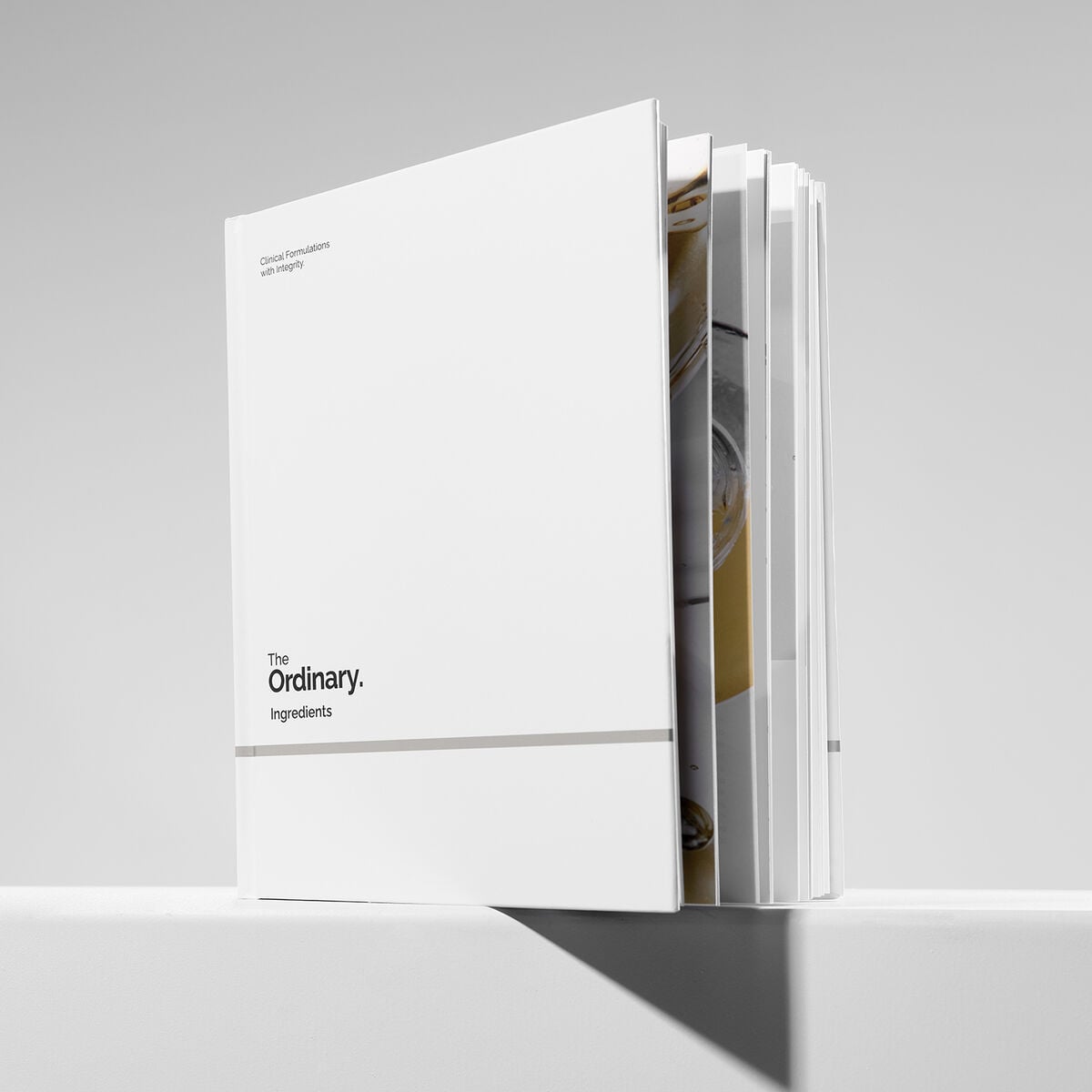 ingredients-s6 rdn-ingredients-book-02.jpg